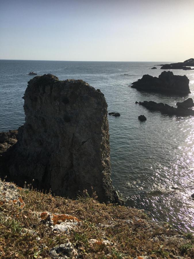 Appartement Dans La Villa Colibri, La Baule Kültér fotó